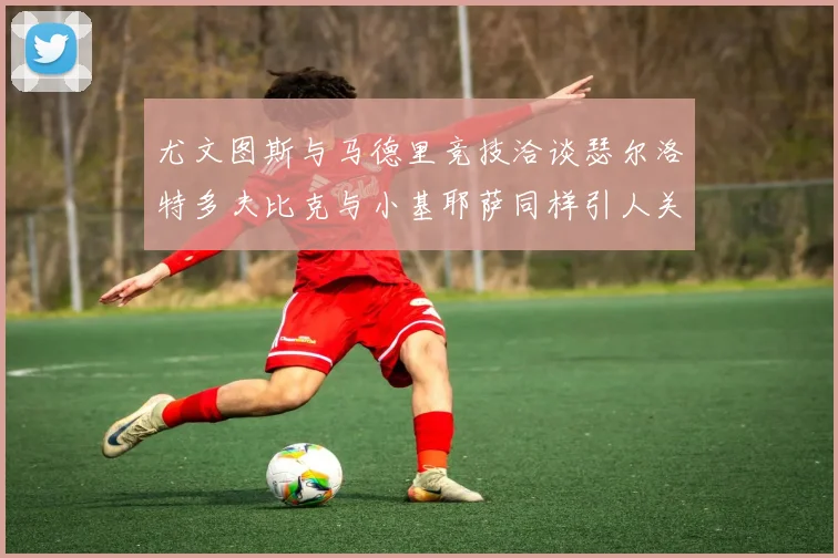 尤文图斯与马德里竞技洽谈瑟尔洛特多夫比克与小基耶萨同样引人关注