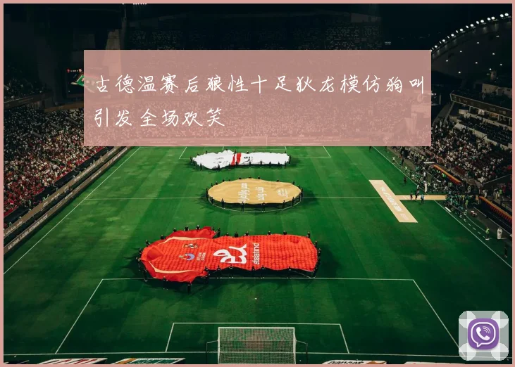 古德温赛后狼性十足狄龙模仿狗叫引发全场欢笑