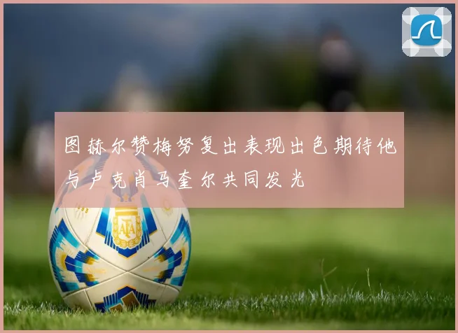 图赫尔赞梅努复出表现出色期待他与卢克肖马奎尔共同发光