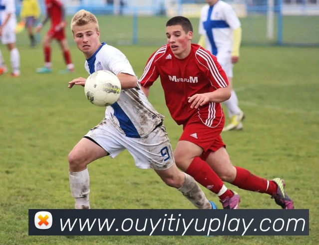 欧亿体育APP 封面图